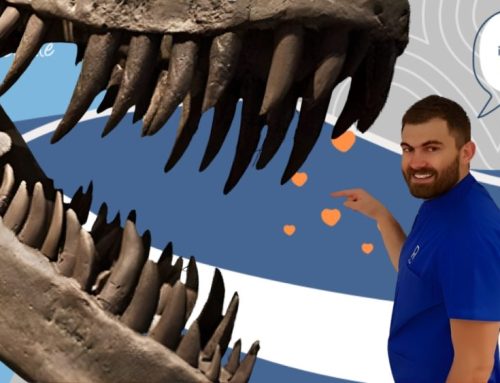 5 interesting facts about dinosaur teeth
